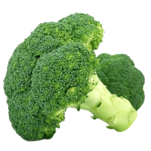 بروكلي