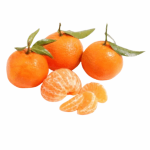 يوسفندي كلمنتينا كليو