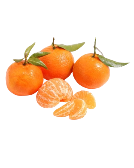 ei_1763078996188-removebg-preview