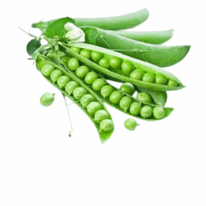 بسله فريش نص كيلو