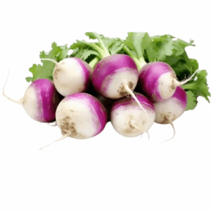 لفت بلدي كيلو